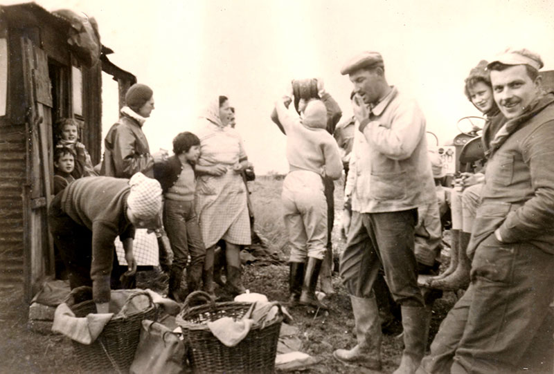 Vendanges en 1963