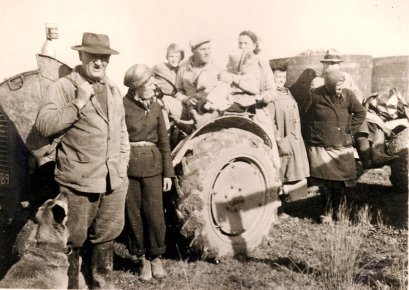 Vendanges en 1959